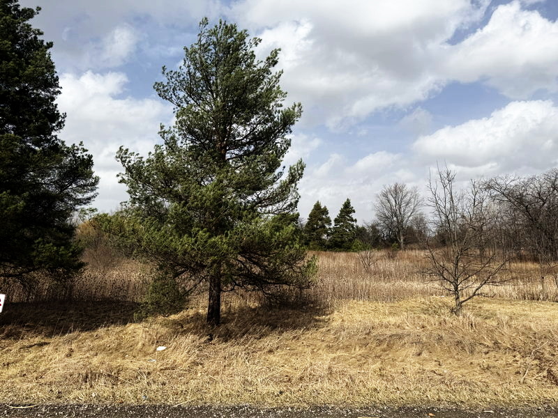 Genesee Hills Golf Course - March 15 2025 Photo (newer photo)